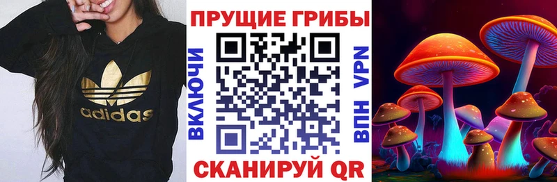 Галлюциногенные грибы Psilocybe  Биробиджан 