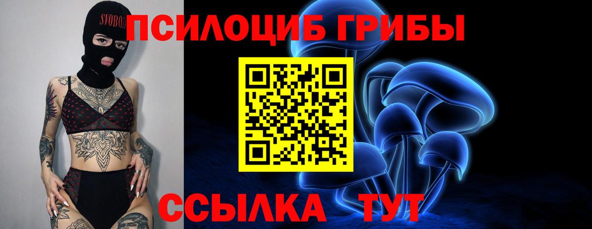 Биробиджан  Галлюциногенные грибы GOLDEN TEACHER  Вход с VPN 